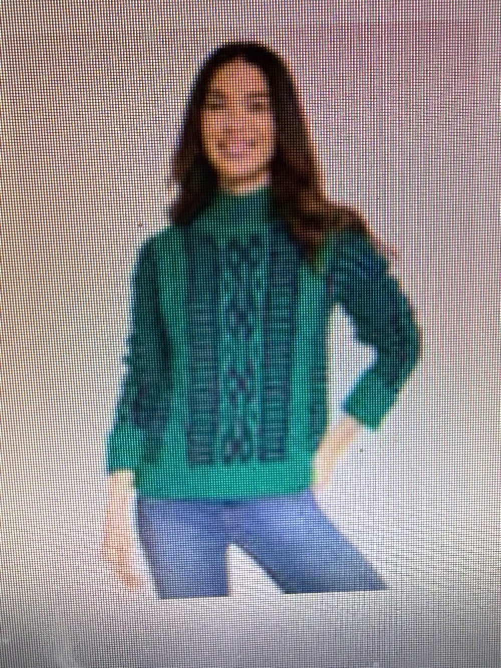 Talbots Bicolor Cable-Knit Mock Neck Sweater - 2x